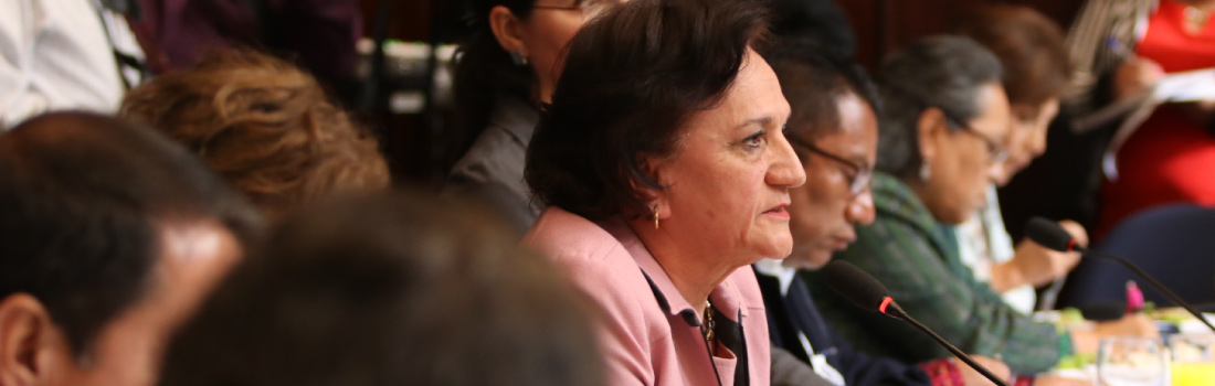 PROCURADORA GENERAL DE LA NACIÓN CONTINUA DIÁLOGO SOBRE LA LEY ORGÁNICA DE LA PGN EN EL CONGRESO DE LA REPÚBLICA-1