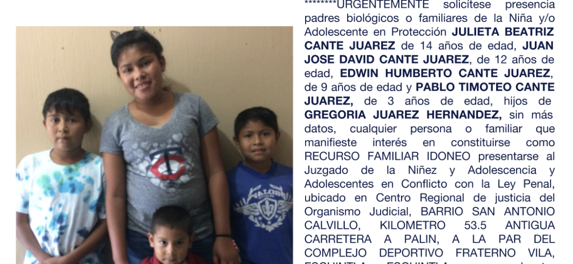 JULIETA BEATRIZ CANTE JUAREZ, JUAN JOSE DAVID CANTE JUAREZ, EDWIN HUMBERTO CANTE JUAREZ, PABLO TIMOTEO CANTE JUAREZ