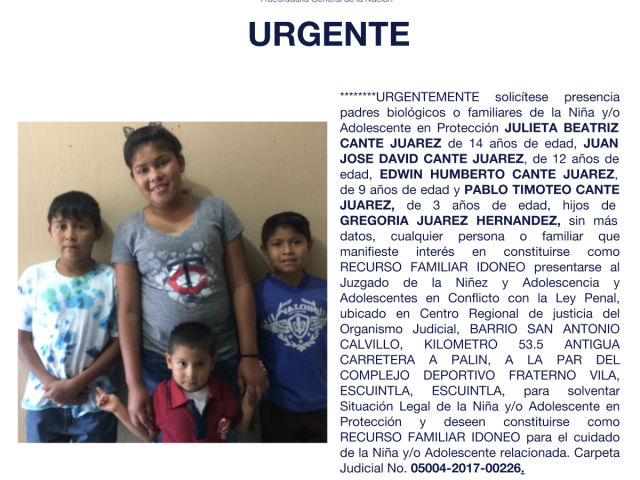 JULIETA BEATRIZ CANTE JUAREZ, JUAN JOSE DAVID CANTE JUAREZ, EDWIN HUMBERTO CANTE JUAREZ, PABLO TIMOTEO CANTE JUAREZ