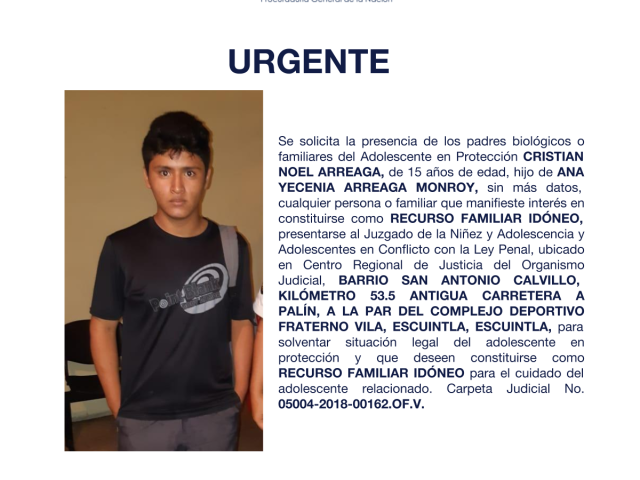 CRISTIAN NOEL ARREAGA