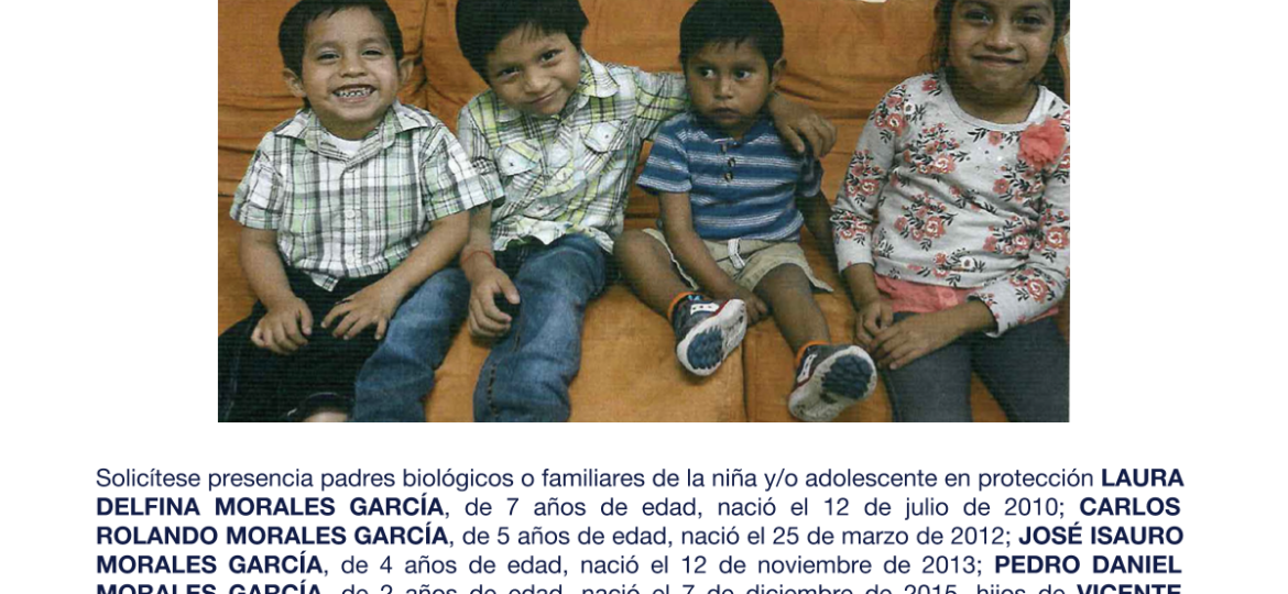 AURA DELFINA MORALES GARCÍA, CARLOS ROLANDO MORALES GARCÍA, JOSÉ ISAURO MORALES GARCÍA, PEDRO DANIEL MORALES GARCÍA,