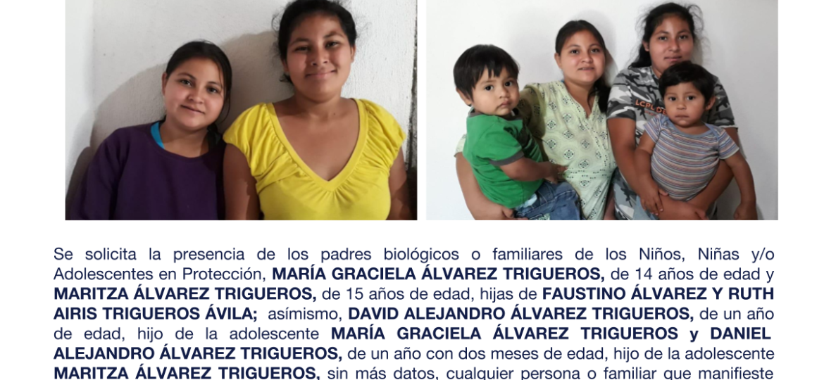 MARÍA GRACIELA ÁLVAREZ TRIGUEROS, MARITZA ÁLVAREZ TRIGUEROS, DAVID ALEJANDRO ÁLVAREZ TRIGUEROS, MARÍA GRACIELA ÁLVAREZ TRIGUEROS y DANIEL ALEJANDRO ÁLVAREZ TRIGUEROS