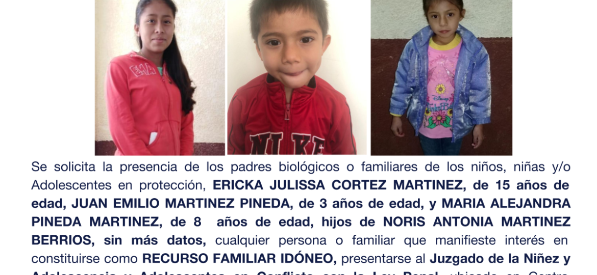 ERICKA JULISSA CORTEZ MARTINEZ, JUAN EMILIO MARTINEZ PINEDA, MARIA ALEJANDRA PINEDA MARTINEZ