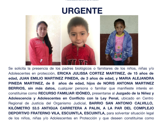 ERICKA JULISSA CORTEZ MARTINEZ, JUAN EMILIO MARTINEZ PINEDA, MARIA ALEJANDRA PINEDA MARTINEZ