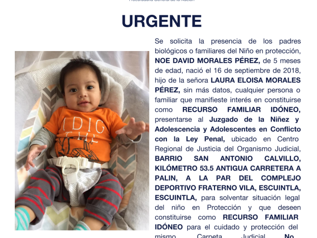 NOE DAVID MORALES PÉREZ