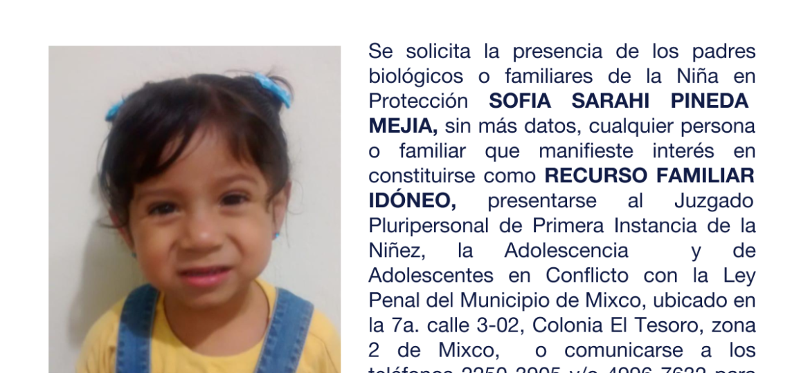 SOFIA SARAHI PINEDA MEJIA