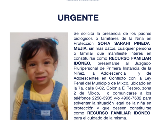 SOFIA SARAHI PINEDA MEJIA