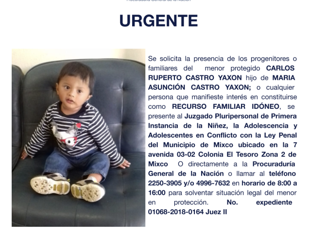 CARLOS RUPERTO CASTRO YAXON