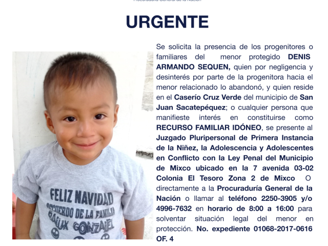 DENIS ARMANDO SEQUEN