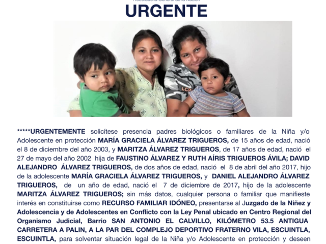 MARÍA GRACIELA ÁLVAREZ TRIGUEROS, MARITZA ÁLVAREZ TRIGUEROS, ALEJANDRO ÁLVAREZ TRIGUEROS, DANIEL ALEJANDRO ÁLVAREZ TRIGUEROS