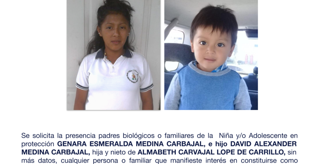 GENARA ESMERALDA MEDINA CARBAJAL, e hijo DAVID ALEXANDER MEDINA CARBAJAL