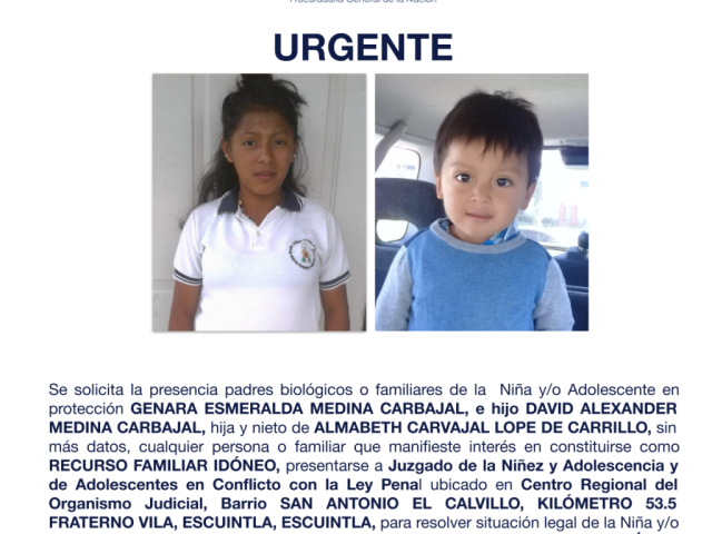 GENARA ESMERALDA MEDINA CARBAJAL, e hijo DAVID ALEXANDER MEDINA CARBAJAL
