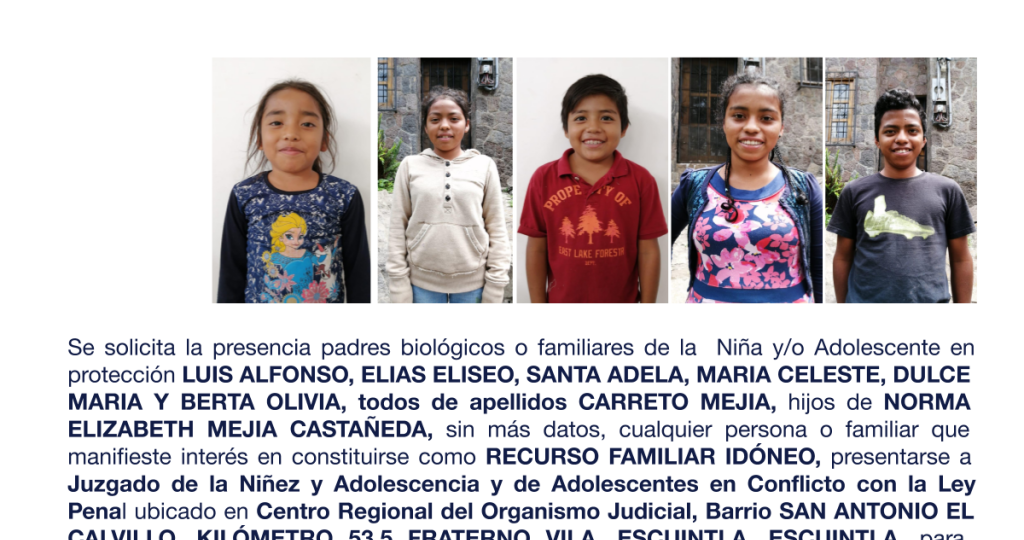 LUIS ALFONSO, ELIAS ELISEO, SANTA ADELA, MARIA CELESTE, DULCE MARIA Y BERTA OLIVIA, todos de apellidos CARRETO MEJIA