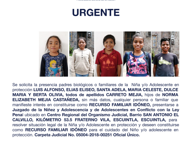 LUIS ALFONSO, ELIAS ELISEO, SANTA ADELA, MARIA CELESTE, DULCE MARIA Y BERTA OLIVIA, todos de apellidos CARRETO MEJIA