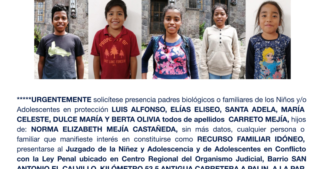 LUIS ALFONSO, ELÍAS ELISEO, SANTA ADELA, MARÍA CELESTE, DULCE MARÍA Y BERTA OLIVIA todos de apellidos CARRETO MEJÍA