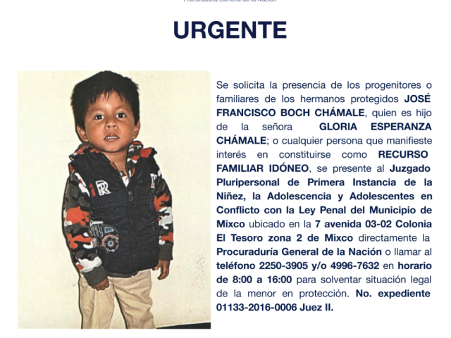 JOSÉ FRANCISCO BOCH CHÁMALE