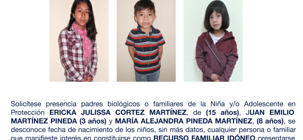 ERICKA JULISSA CORTEZ MARTÍNEZ, JUAN EMILIO MARTÍNEZ PINEDA, MARÍA ALEJANDRA PINEDA MARTÍNEZ,
