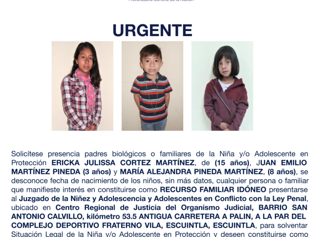 ERICKA JULISSA CORTEZ MARTÍNEZ, JUAN EMILIO MARTÍNEZ PINEDA, MARÍA ALEJANDRA PINEDA MARTÍNEZ,