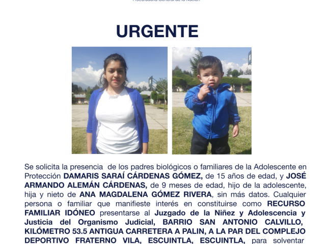 DAMARIS SARAÍ CÁRDENAS GÓMEZ, JOSÉ ARMANDO ALEMÁN CÁRDENAS