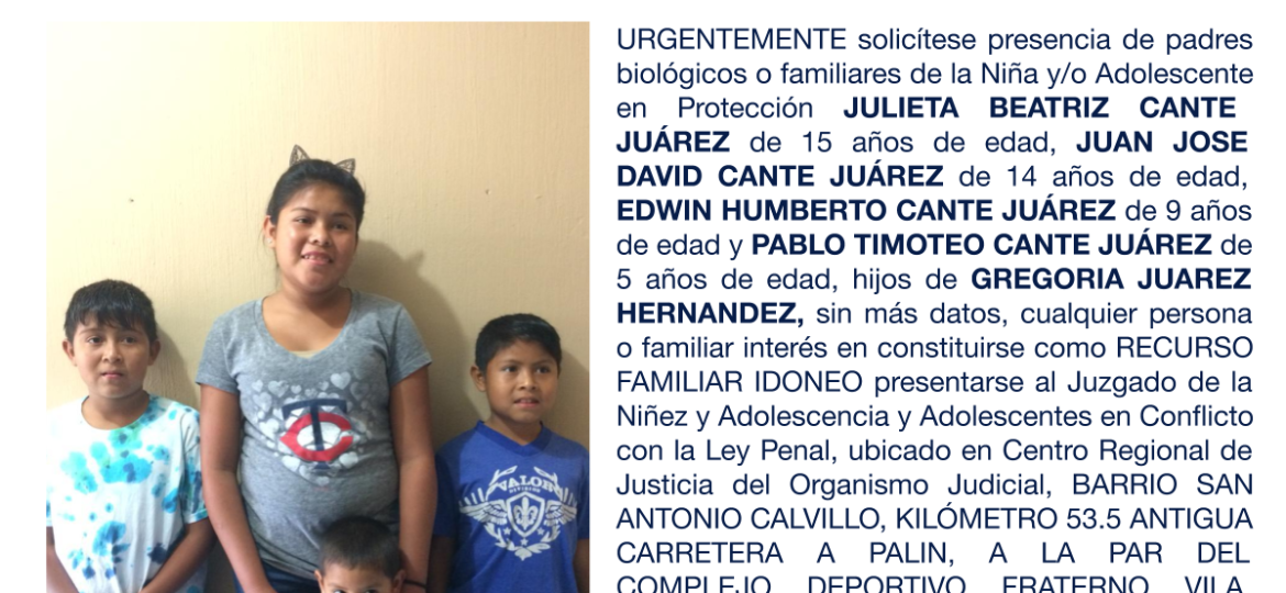 JULIETA BEATRIZ CANTE JUÁREZ, UAN JOSE DAVID CANTE JUÁREZ, EDWIN HUMBERTO CANTE JUÁREZ, PABLO TIMOTEO CANTE JUÁREZ