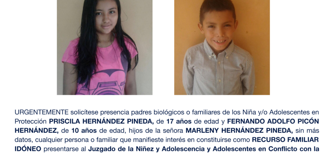 PRISCILA HERNÁNDEZ PINEDA, FERNANDO ADOLFO PICÓN HERNÁNDEZ