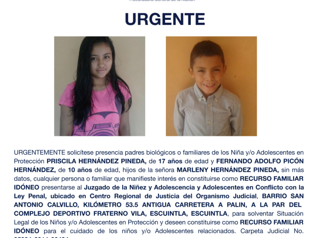 PRISCILA HERNÁNDEZ PINEDA, FERNANDO ADOLFO PICÓN HERNÁNDEZ