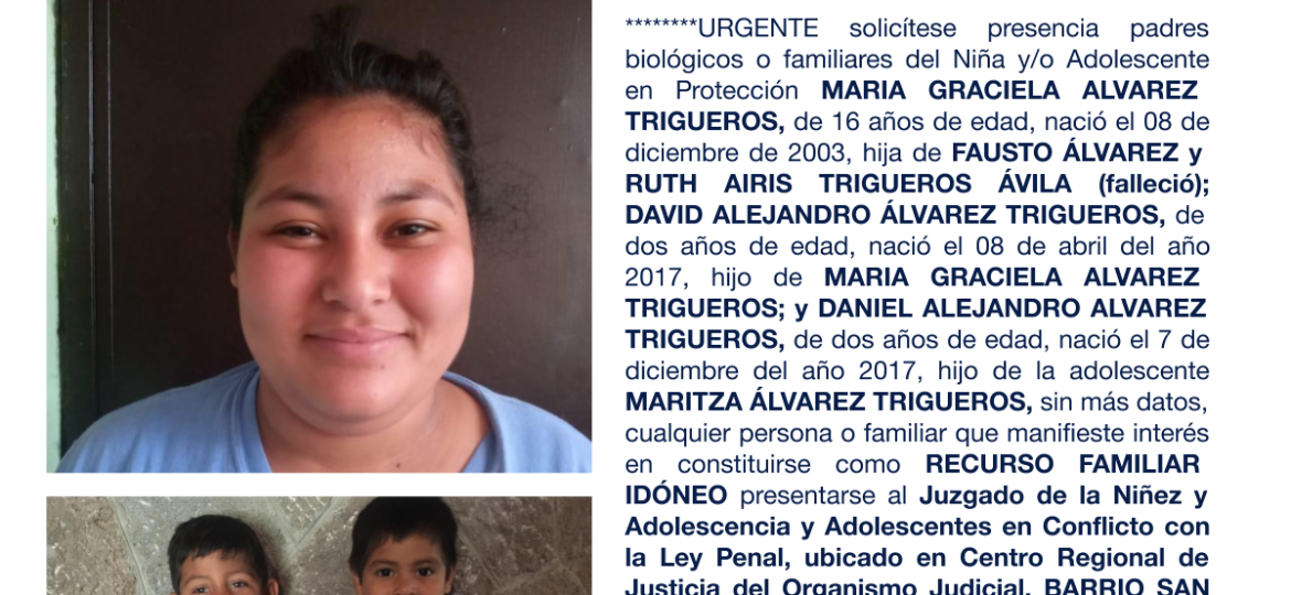 MARIA GRACIELA ALVAREZ TRIGUEROS, DAVID ALEJANDRO ÁLVAREZ TRIGUEROS, DANIEL ALEJANDRO ALVAREZ TRIGUEROS