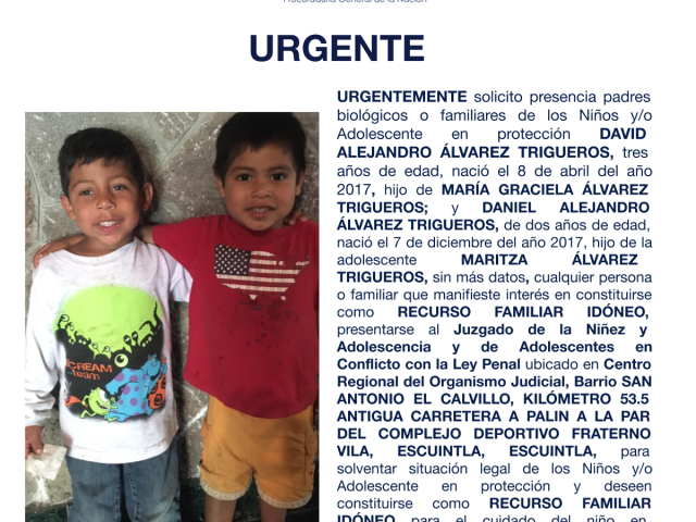 DAVID ALEJANDRO ÁLVAREZ TRIGUEROS, DANIEL ALEJANDRO ÁLVAREZ TRIGUEROS