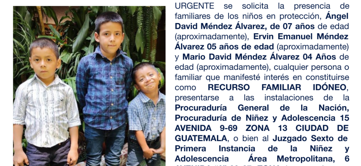 Ángel David Méndez Álvarez, Ervin Emanuel Méndez Álvarez, Mario David Méndez Álvarez