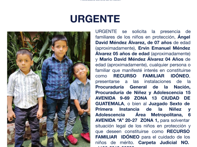 Ángel David Méndez Álvarez, Ervin Emanuel Méndez Álvarez, Mario David Méndez Álvarez