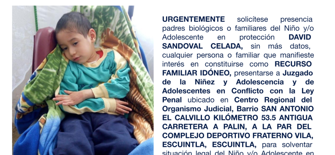 DAVID SANDOVAL CELADA