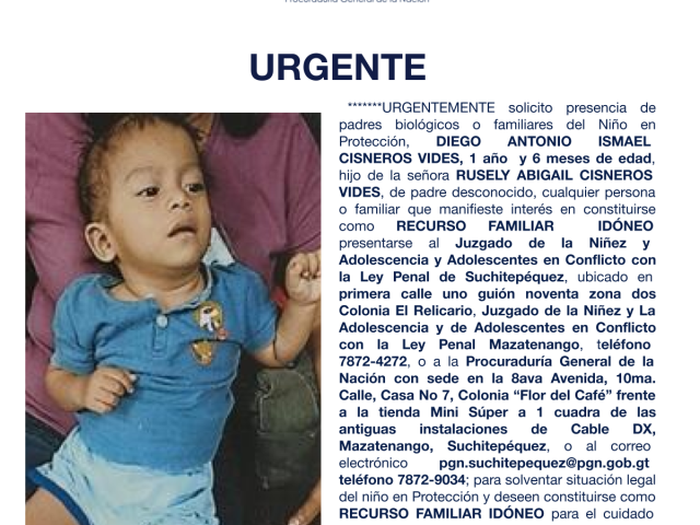 DIEGO ANTONIO ISMAEL CISNEROS VIDES