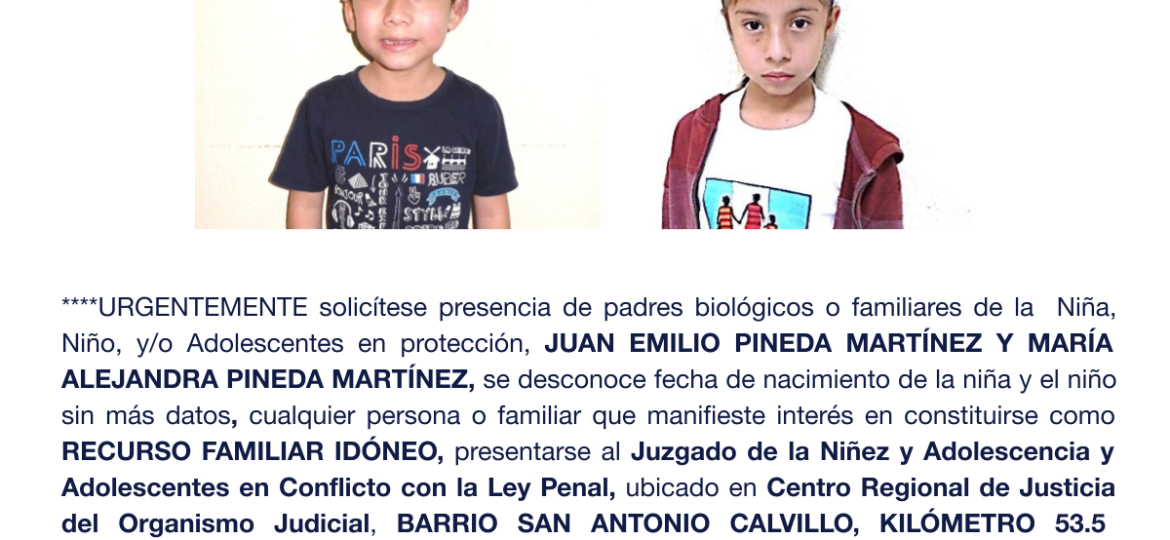 JUAN EMILIO PINEDA MARTÍNEZ Y MARÍA ALEJANDRA PINEDA MARTÍNEZ