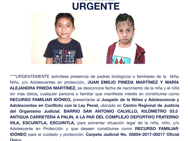 JUAN EMILIO PINEDA MARTÍNEZ Y MARÍA ALEJANDRA PINEDA MARTÍNEZ