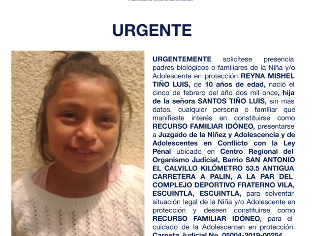 REYNA MISHEL TIÑO LUIS