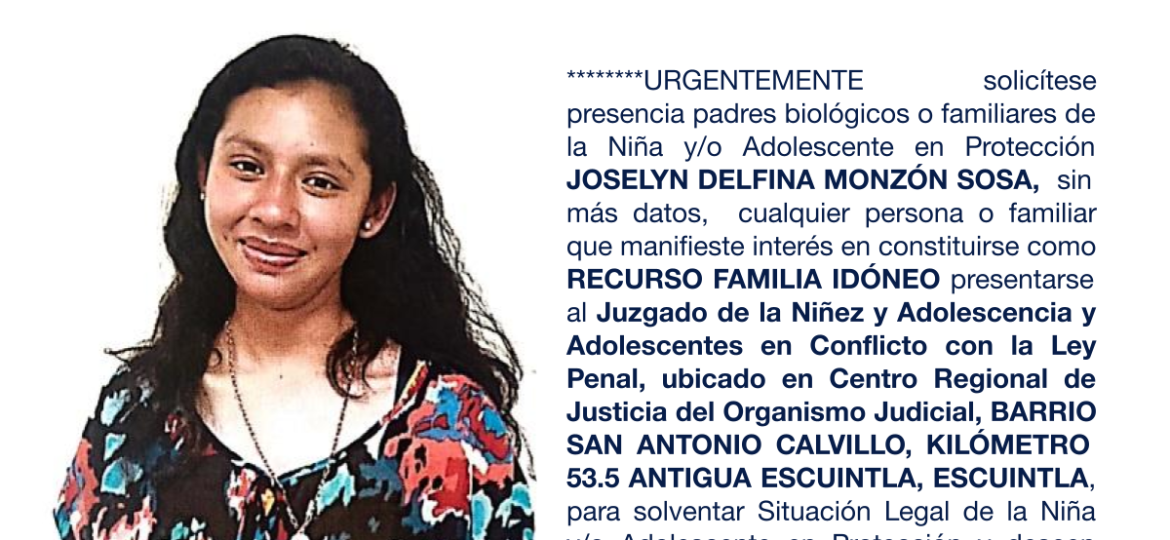 JOSELYN DELFINA MONZÓN SOSA