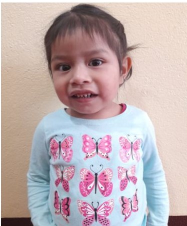 WhatsApp Image 2023-01-24 at 08.27.43