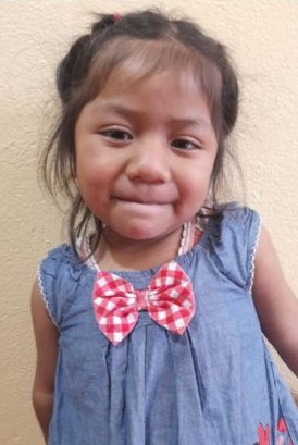 WhatsApp Image 2023-01-24 at 08.27.44