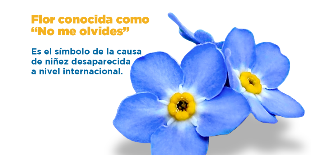 No me olvides - 2023-05 No me olvides - 2023-05