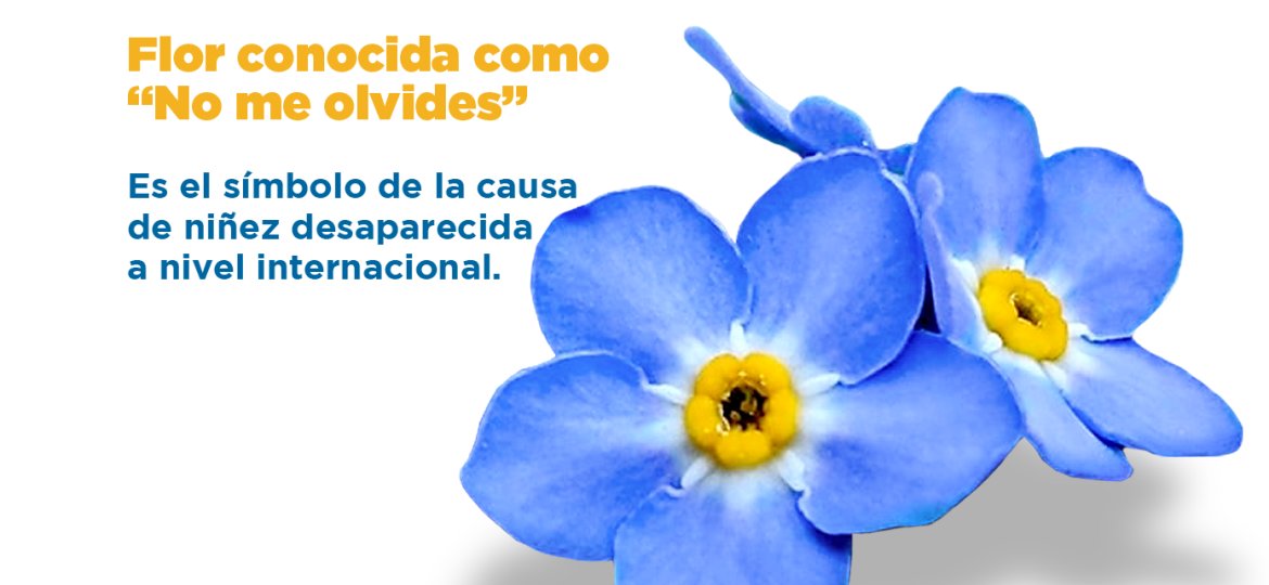 No me olvides - 2023-05