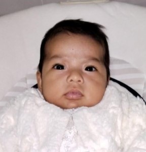 WhatsApp Image 2023-06-28 at 08.52.25